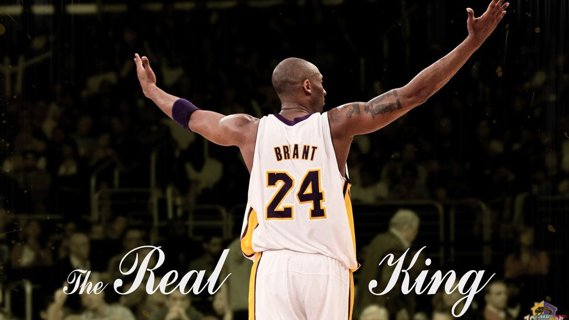 球员技术：炫酷动作欣赏与技巧讲解，篮球炫技动作名字